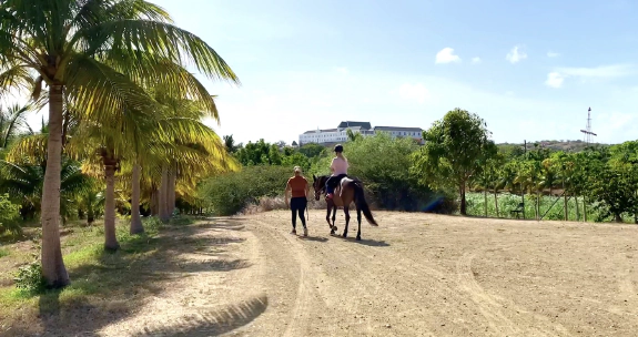 Featured image for blog post: PonyPret Curaçao