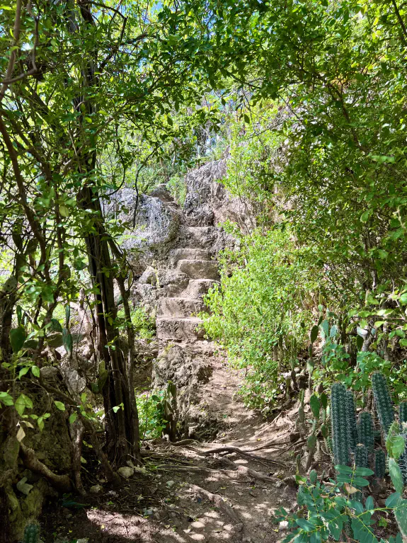 Daaibooi hiking trail start