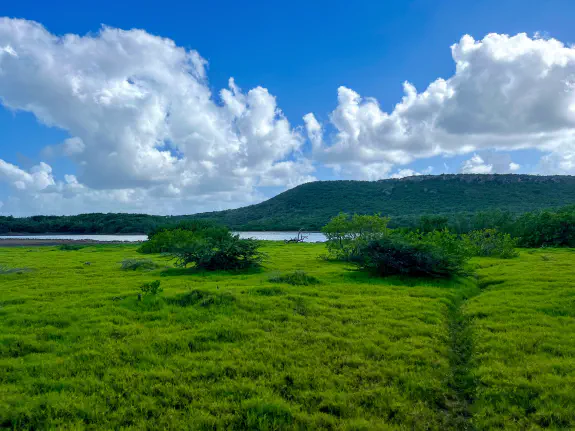 Daaibooi mountain view