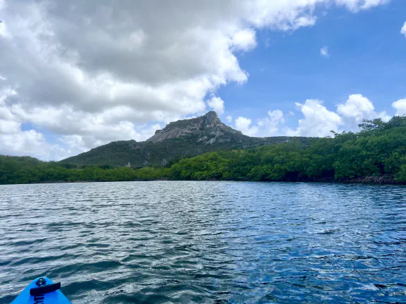 Mangroves seen from Spaanse Water