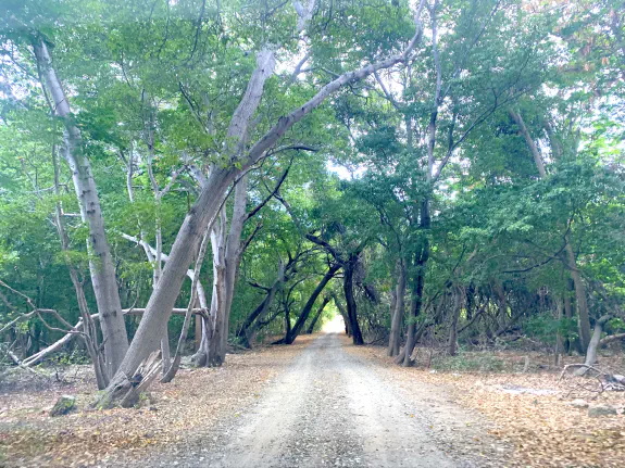 Road to San Juan manor