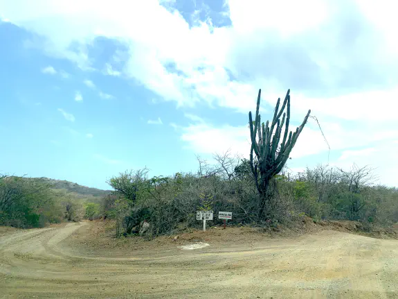 Manzaliña sign